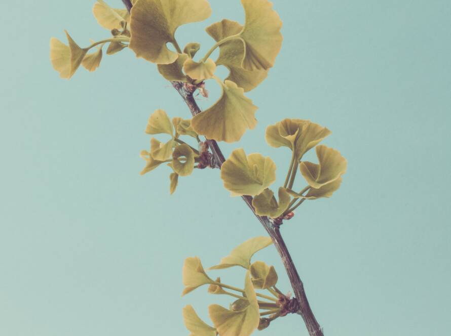 Blog-Post