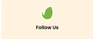 Alissio - Follow Us